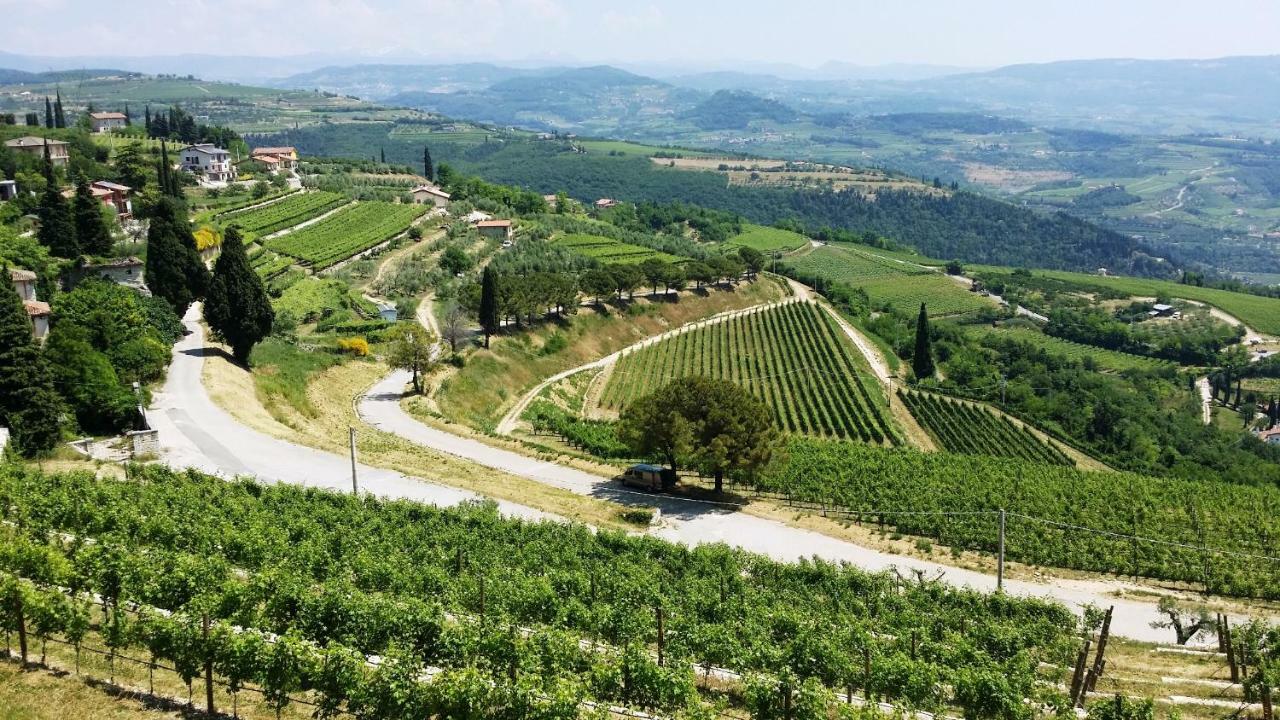 Cris Apartments SantʼAmbrogio di Valpolicella エクステリア 写真